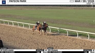 My Gun's Loaded (Outside) and Ize a Runner Worked 3 Furlongs in 38.40 at Payson Park on March 28th, 2026