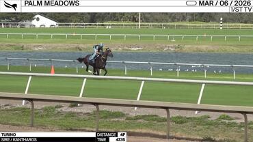 Turino Worked 4 Furlongs in 47.15 at Palm Meadows on March 6th, 2026