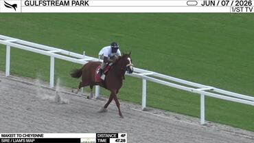 Makeit to Cheyenne Worked 4 Furlongs in 47.28 at Gulfstream Park on June 7th, 2026
