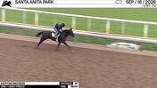 Egyptian Mistress Worked 3 Furlongs in 38.00 at Santa Anita Park on September 16th, 2026