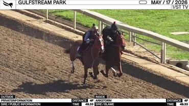 Privateinformation (Outside) and Arkstorm Worked 4 Furlongs in 49.33 at Gulfstream Park on May 17th, 2026