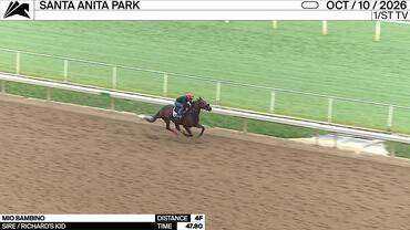 Mio Bambino Worked 4 Furlongs in 47.80 at Santa Anita Park on October 10th, 2026
