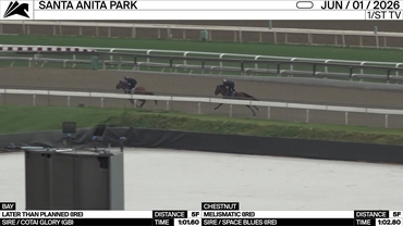 11_Later Than Planned (IRE)(Cotai Glory (GB))(LRF)(Bay)_Melismatic (IRE)(Space Blues (IRE))(Chestnut)_Philip D'Amato_SA_260601