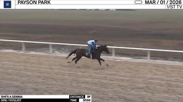 She's a Gemma Worked 3 Furlongs in 37.00 at Payson Park on March 1st, 2026