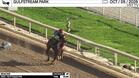 Iron Worked 4 Furlongs in 47.95 at Gulfstream Park on October 5th, 2026