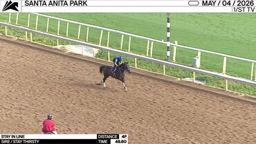 Stay in Line Worked 4 Furlongs in 48.60 at Santa Anita Park on May 4th, 2026
