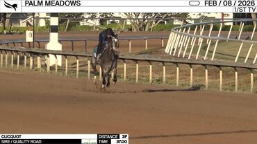 Clicquot Worked 3 Furlongs in 37.00 at Palm Meadows on February 8th, 2026