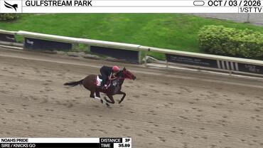 Noahs Pride Worked 3 Furlongs in 35.89 at Gulfstream Park on October 3rd, 2026