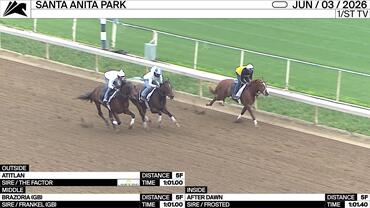 Atitlan (Outside), Brazoria (Middle) and After Dawn Worked 5 Furlongs at Santa Anita Park on June 3rd, 2026