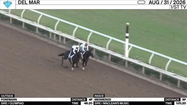 Forewarn (Outside) and Mesmerize Worked 4 Furlongs at Del Mar on August 31st, 2026