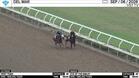 Fiery Tiger (Outside) and Eye of the Smiley Worked 4 Furlongs in 49.00 at Del Mar on September 6th, 2026