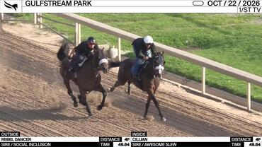 Rebel Dancer (Outside) and Cillian Worked 4 Furlongs in 49.84 at Gulfstream Park on October 22nd, 2026