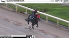 Con Compania Worked 4 Furlongs in 52.06 at Gulfstream Park on September 19th, 2026