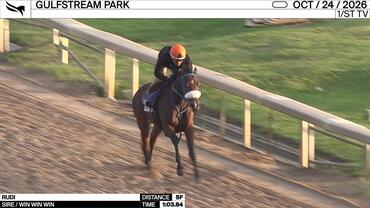 Rudi Worked 5 Furlongs in 1:03.84 at Gulfstream Park on October 24th, 2026