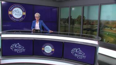 Preview of race 10 The The Breeders' Cup Juvenile Turf on Oct 30th, 2026