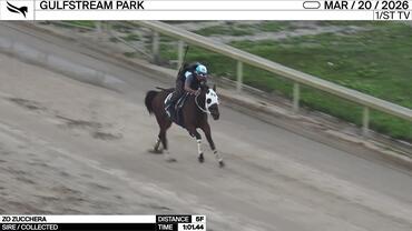 Zo Zucchera Worked 5 Furlongs in 1:01.44 at Gulfstream Park on March 20th, 2026