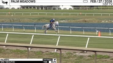 Fulanito Worked 4 Furlongs in 50.75 at Palm Meadows on February 27th, 2026