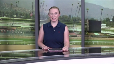 Preview of race 5 The Caress Stakes on July 11th, 2026