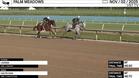 Laigina (Outside) and Haute Diva Worked 4 Furlongs at Palm Meadows on November 2nd, 2025