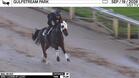 Bail Us Out Worked 4 Furlongs in 51.26 at Gulfstream Park on September 19th, 2026