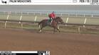 Sod Siren Worked 3 Furlongs in 36.35 at Palm Meadows on February 13th, 2026