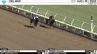 An Unnamed Horse Out of the Dam Sidecheering (Outside) and Midnight Blessing Worked 3 Furlongs in 36.80 at Del Mar on August 16th, 2026