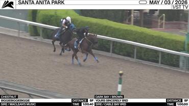 Biggiebiggiebiggie (Chestnut) and Yours Sincerely Worked 5 Furlongs at Santa Anita Park on May 3rd, 2026