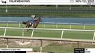Expensive Queen Worked 3 Furlongs in 37.00 at Palm Meadows on November 12th, 2025