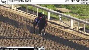Sobiech Worked 3 Furlongs in 37.53 at Gulfstream Park on February 5th, 2026