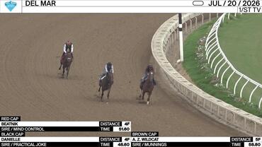 Beatnik (Red Cap), Danielle (Black Cap) and A. Z. Wildcat Worked at Saratoga on July 20th, 2026