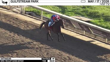 Ontheblink Worked 4 Furlongs in 49.09 at Gulfstream Park on May 17th, 2026