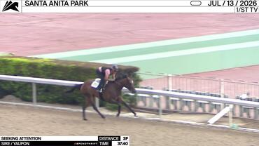 Seeking Attention Worked 3 Furlongs in 37.40 at Santa Anita Park on July 13th, 2026