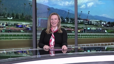 Preview of The Palos Verdes Stakes on Feb 15th 2026