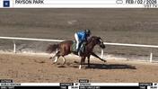 Noble Heritage (Outside) and Episodic Worked 3 Furlongs in 36.60 at Payson Park on February 2nd, 2026