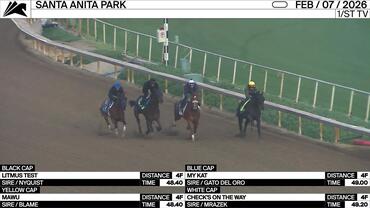 Litmus Test (Black Cap), Mawu (Yellow Cap), My Kat (Blue Cap) and Check's On the Way Worked 4 Furlongs at Santa Anita Park on February 7th, 2026