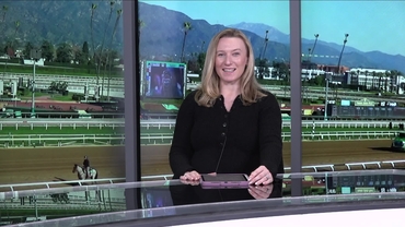 Preview of The La Cienegas on Jan 11th 2026