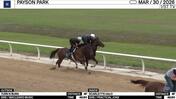 Turn N Burn (Outside) and Scarlett's Halo Worked 4 Furlongs in 49.60 at Payson Park on March 30th, 2026