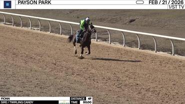 Fionn Worked 4 Furlongs in 50.00 at Payson Park on February 21st, 2026