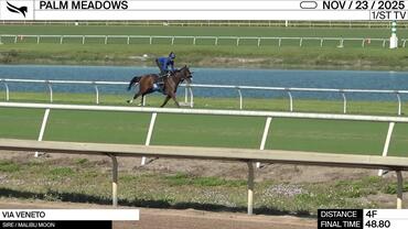 Via Veneto Worked 4 Furlongs in 48.80 at Palm Meadows on November 23rd, 2025