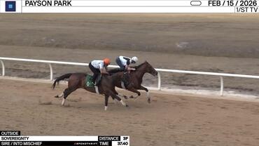 Sovereignty (Outside) Worked 3 Furlongs in 37.40 at Payson Park on February 15th, 2026