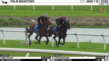 Soleil Volant (Outside) and Soul Dance Worked 4 Furlongs in 48.70 at Palm Meadows on March 13th, 2026