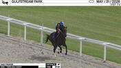 Daily Prayer Worked 3 Furlongs in 37.23 at Gulfstream Park on May 31st, 2026