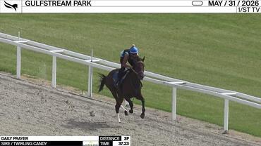 Daily Prayer Worked 3 Furlongs in 37.23 at Gulfstream Park on May 31st, 2026
