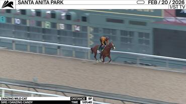 Danzing Wild Cat Worked 5 Furlongs in 1:01.40 at Santa Anita Park on February 20th, 2026