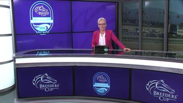 Preview of The Breeders' Cup Sprint on November 1st, 2025