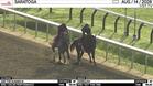And the Runner Is (Outside) and Harbaugh Worked 4 Furlongs in 49.25 at Saratoga on August 14th, 2026