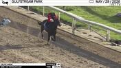 Celtic Pride Worked 5 Furlongs in 1:01.70 at Gulfstream Park on May 29th, 2026
