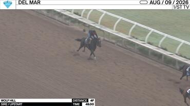 Wolf Hill Worked 4 Furlongs in 49.00 at Del Mar on August 9th, 2026