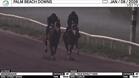 Misdemeanor (Outside) and an Unnamed Horse out of the Dam True Royalty Worked 4 Furlongs in 50.01 at Palm Beach Downs on January 8th, 2025