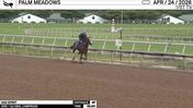 Gigi Spirit Worked 4 Furlongs in 48.90 at Palm Meadows on April 24th, 2026
